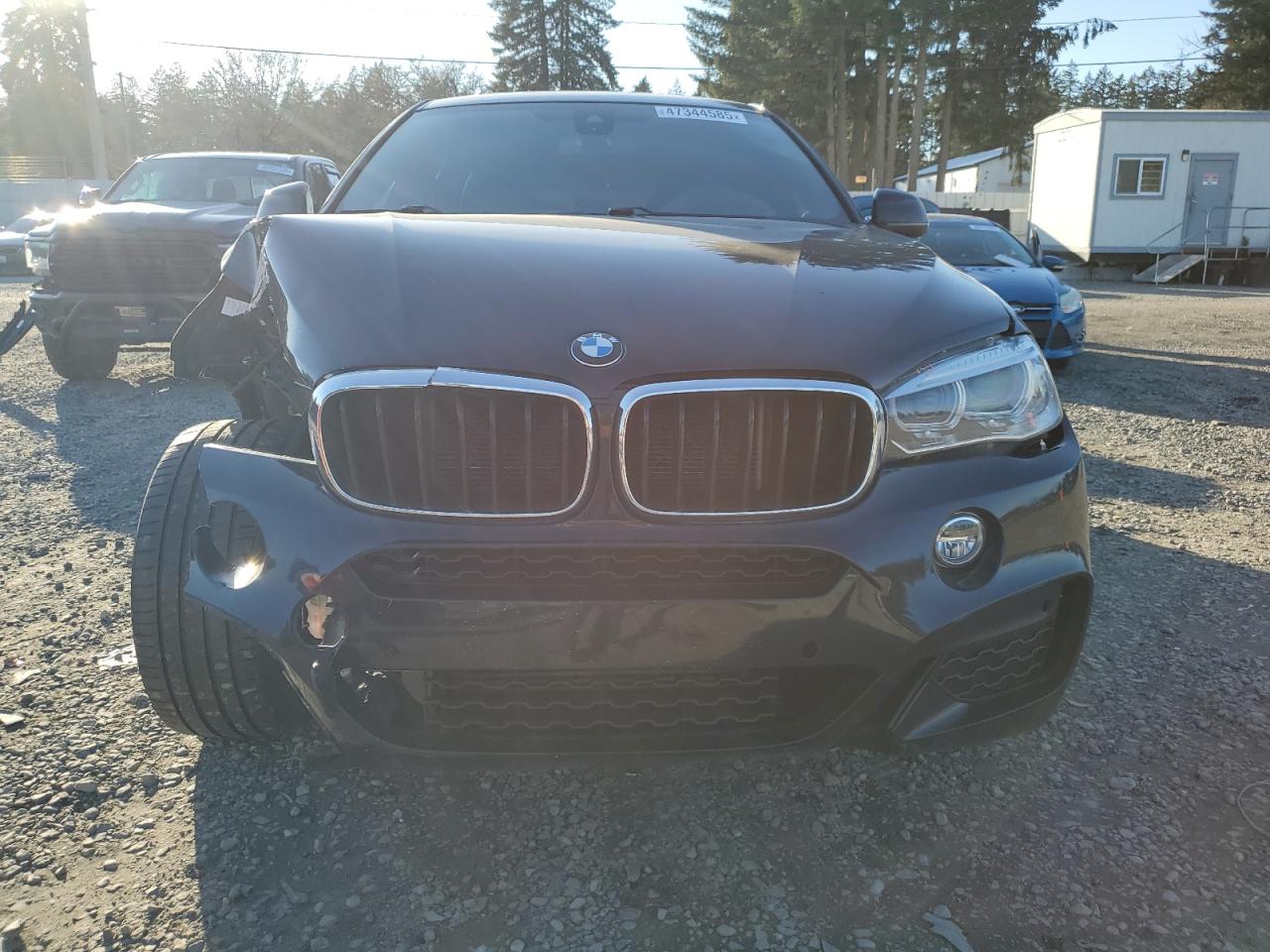 2019 BMW X6 - Image 5