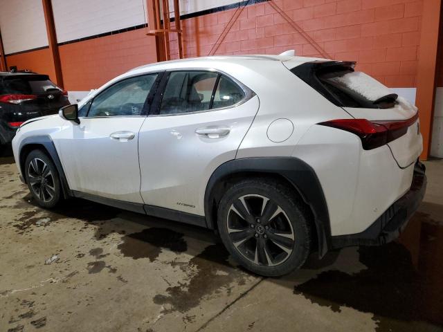 2020 LEXUS UX 250H