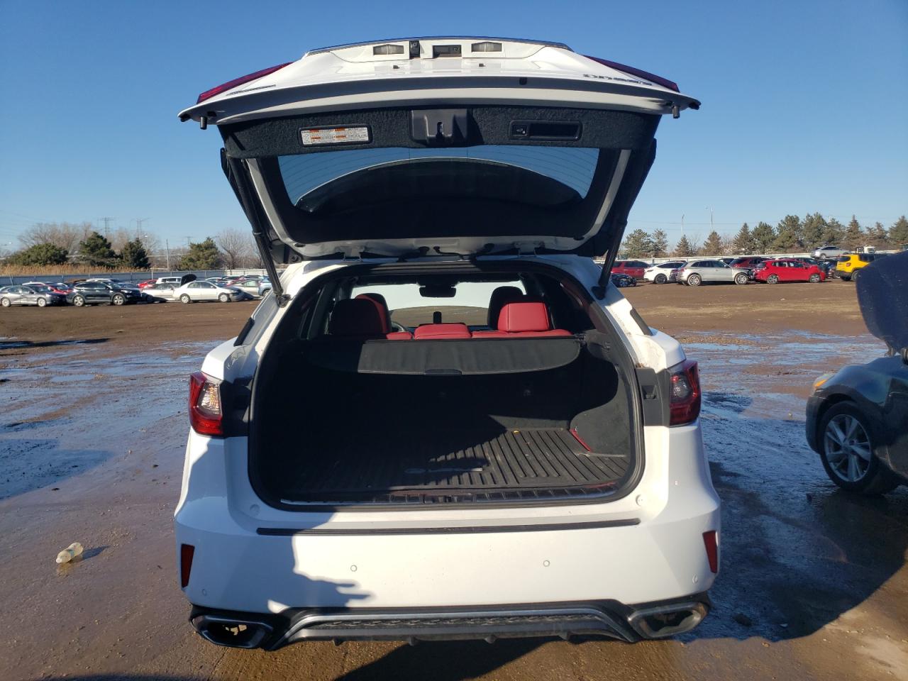 2019 Lexus RX - Image 6