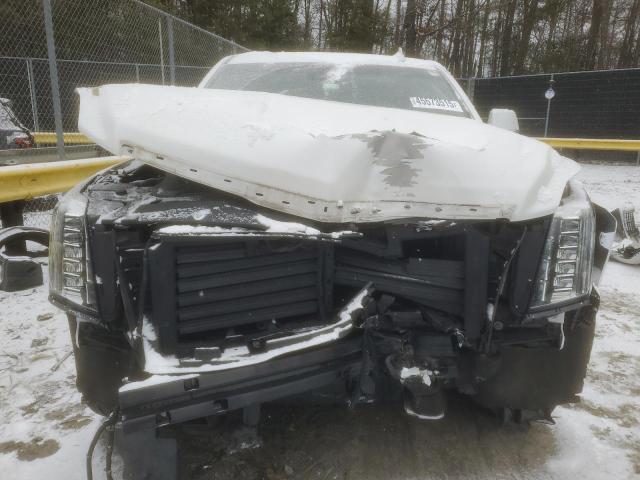  CADILLAC ESCALADE 2019 Biały
