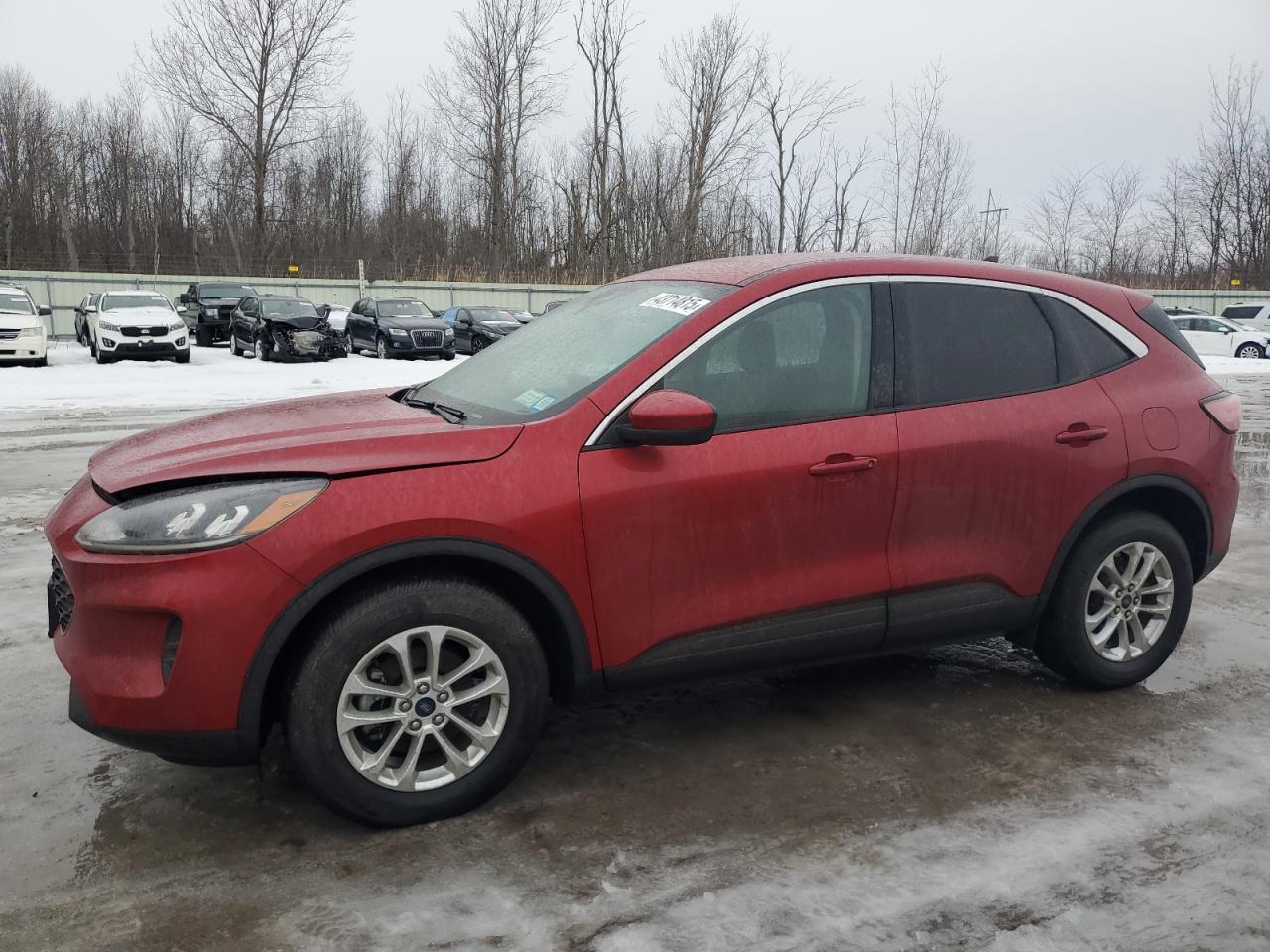 2020 Ford Escape - Image 1