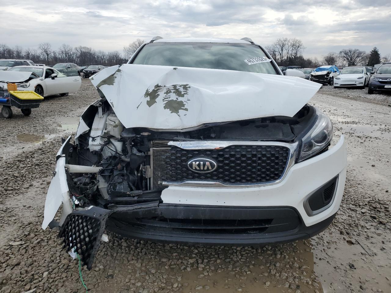 2016 Kia Sorento - Image 5