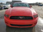 2013 Ford Mustang  for Sale in Lebanon, TN - Rear End