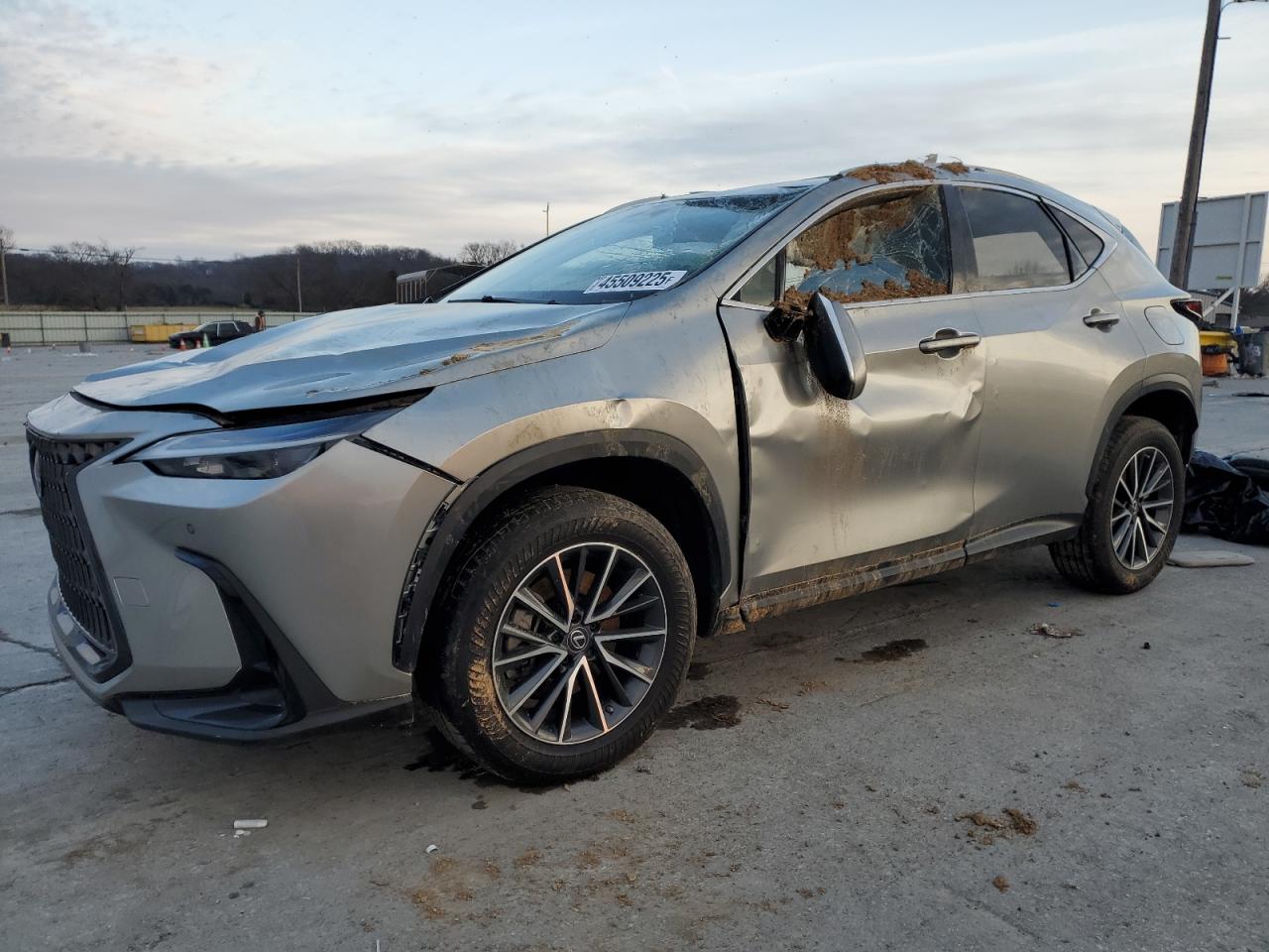 2022 Lexus NX - Image 1