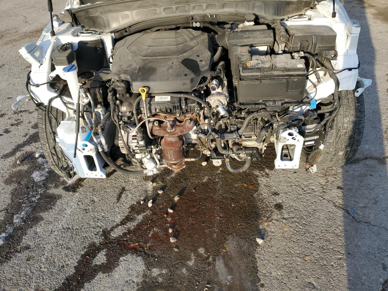 2023 Kia Telluride Ex VIN: 5XYP3DGC5PG379241 Lot: 45635465