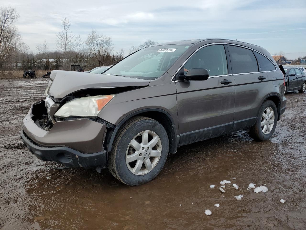2009 Honda CR-V - Image 1