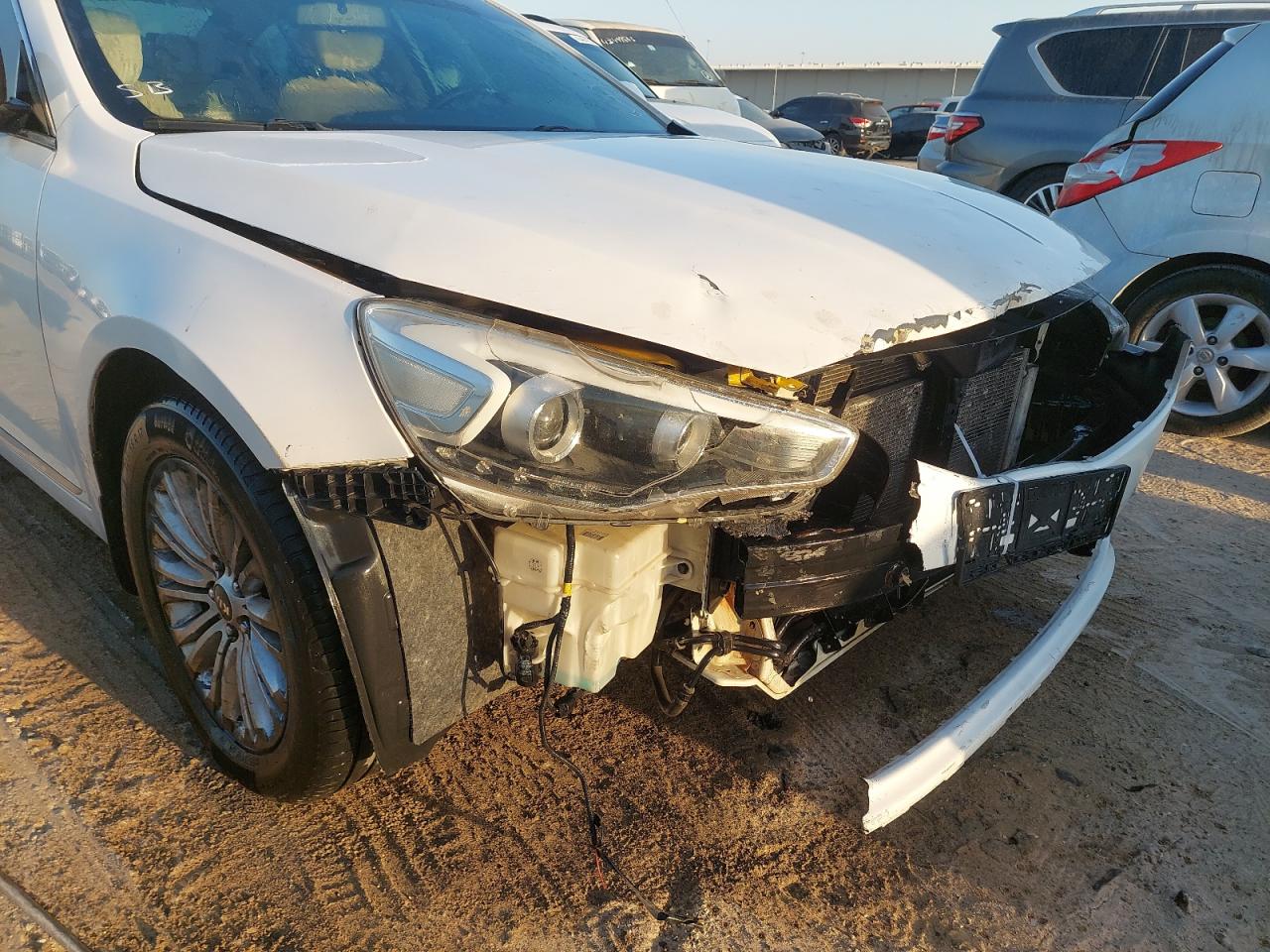 KNALM4141E5131522 - 2014 Kia Cadenza - #43669215