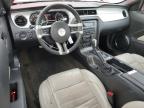 2013 Ford Mustang  for Sale in Lebanon, TN - Rear End