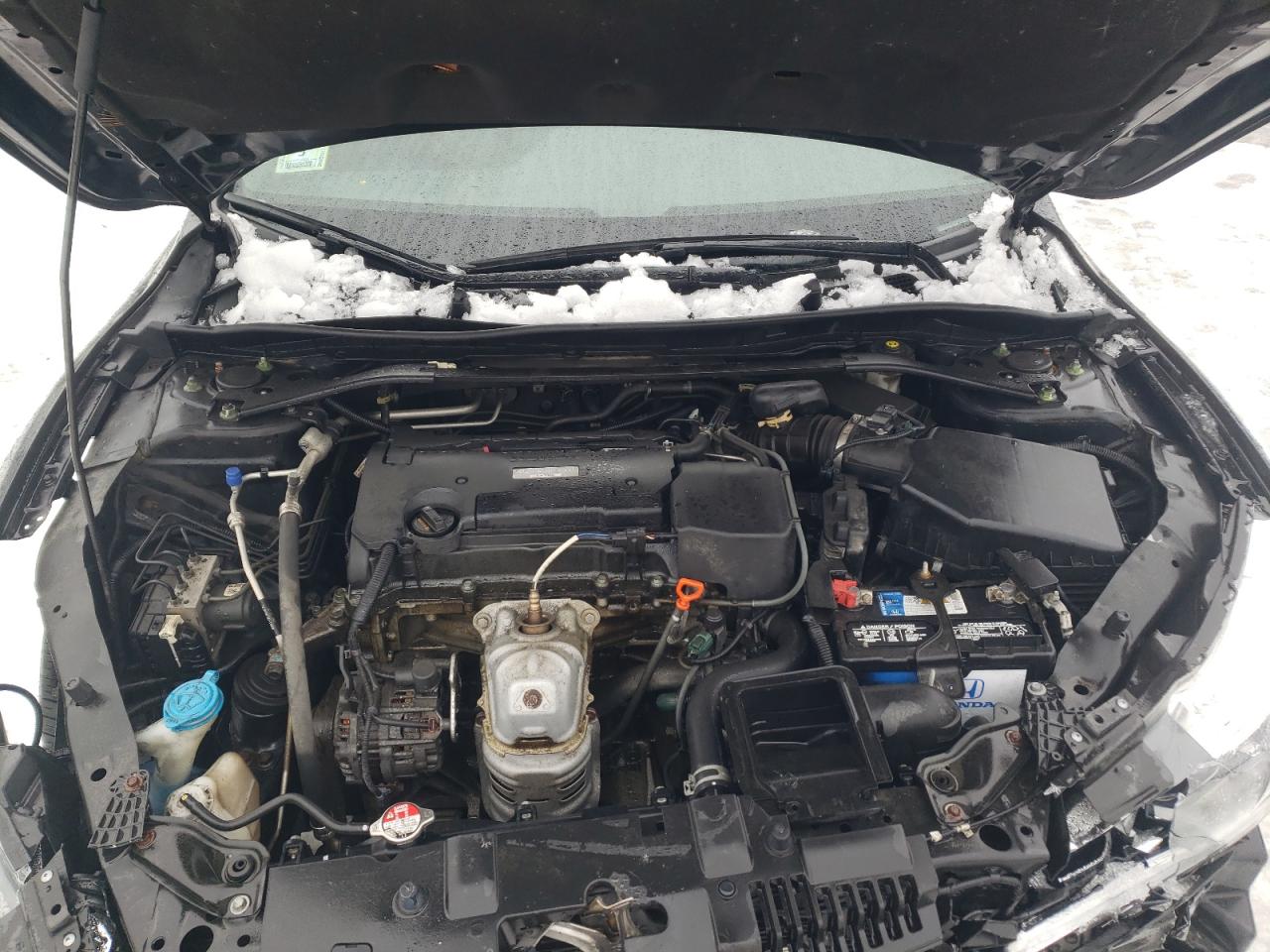 1HGCR2F55HA229864 HONDA ACCORD 2017