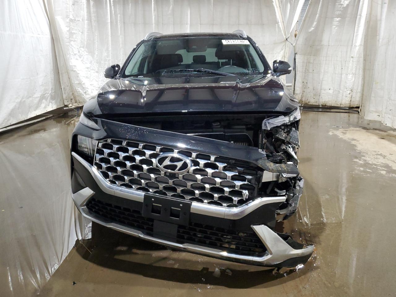 2023 Hyundai Santa Fe - Image 5