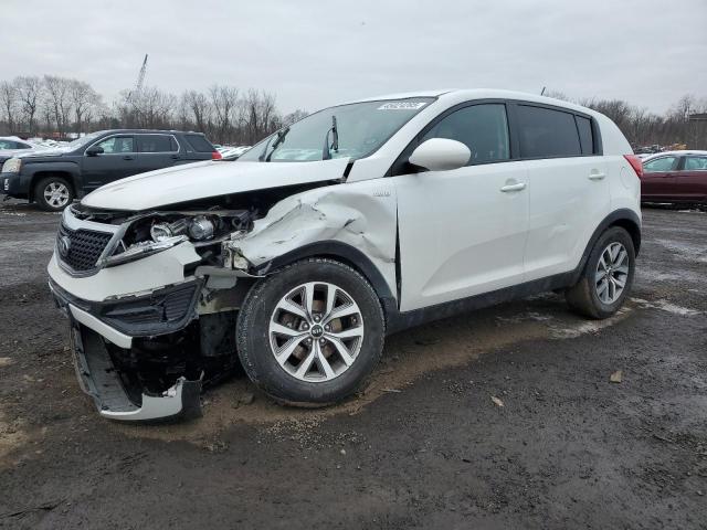 Паркетники KIA SPORTAGE 2016 Білий