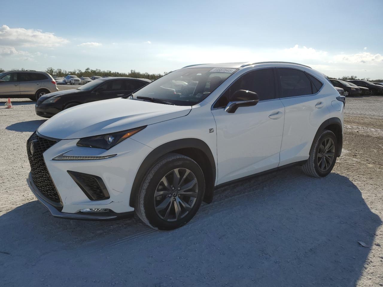 2019 Lexus NX - Image 1