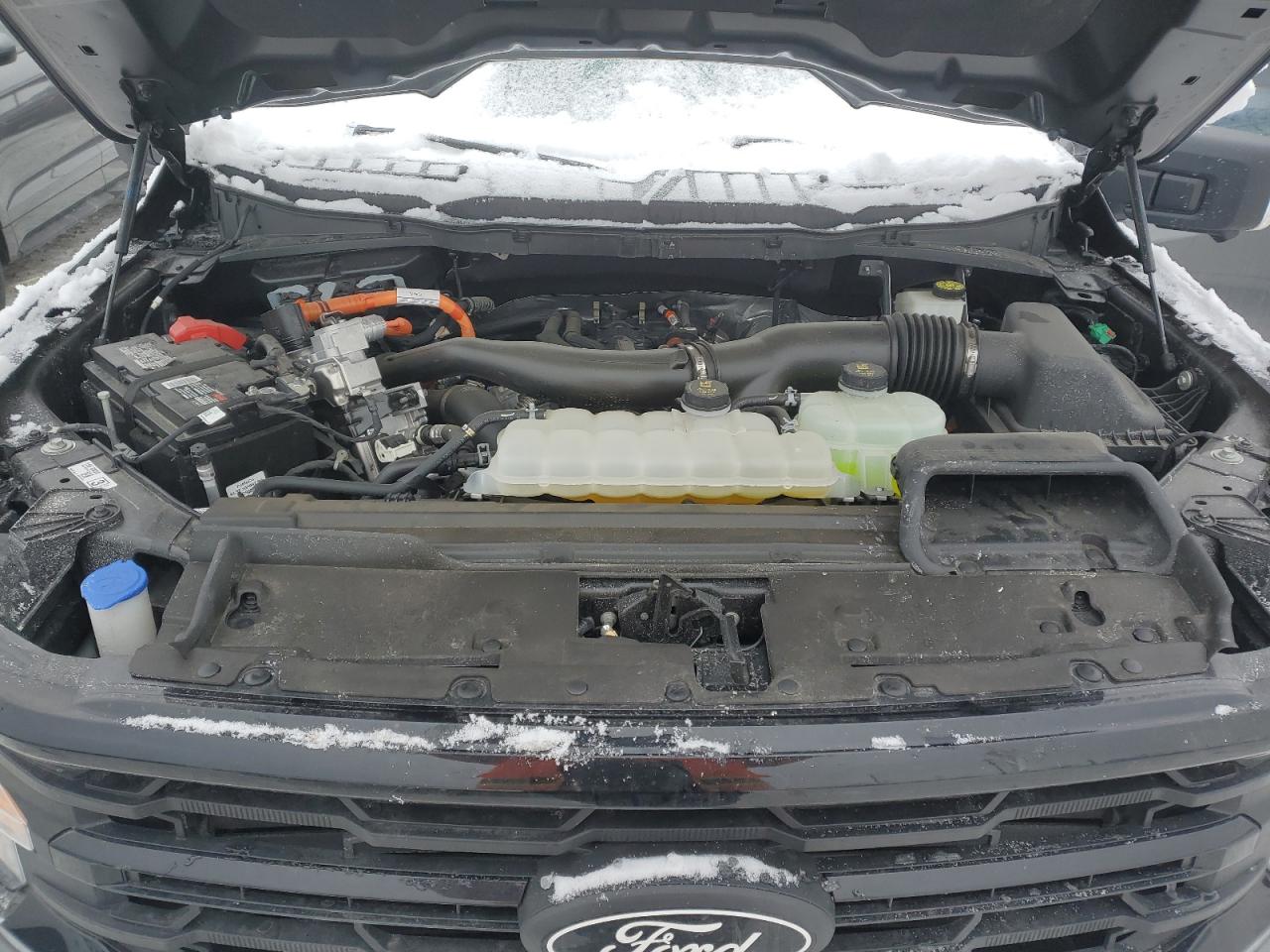 1FTFW3LD4RFA64867 FORD All Models 2024