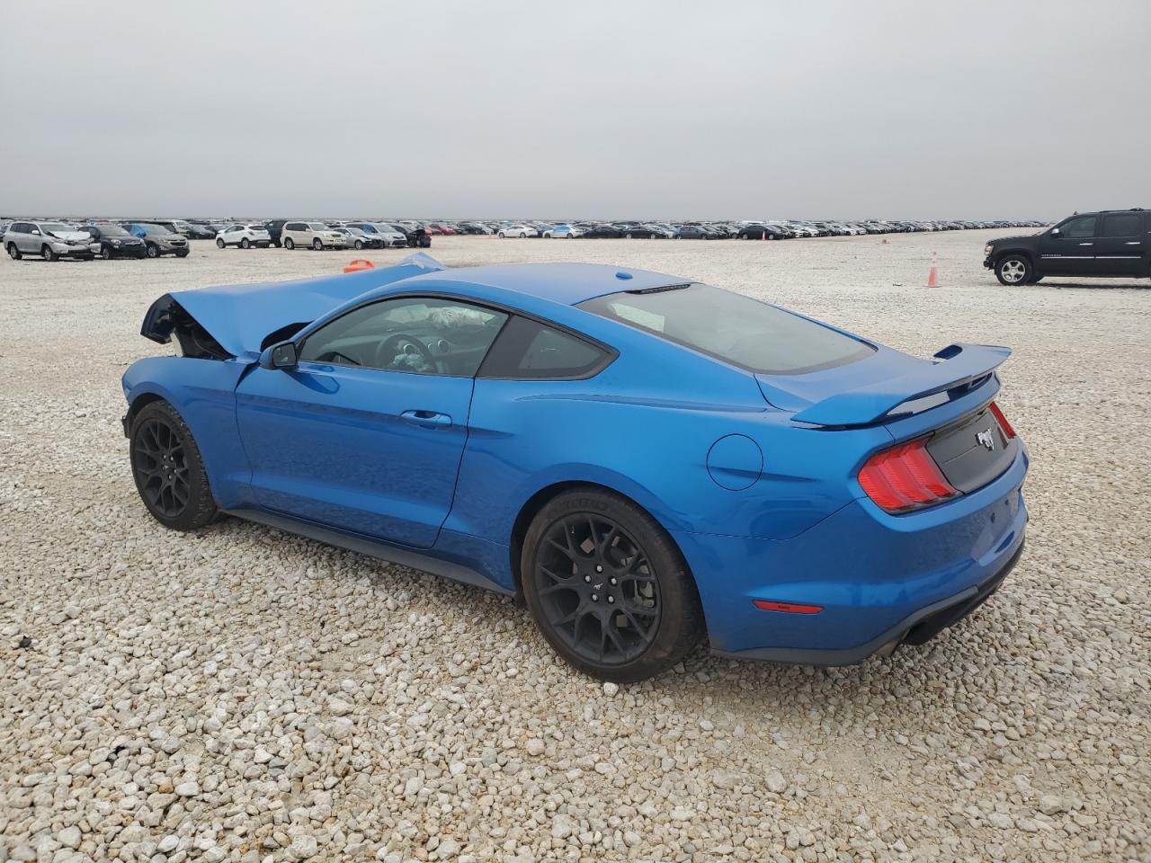 1FA6P8TH3K5168586 FORD ALL Models 2019