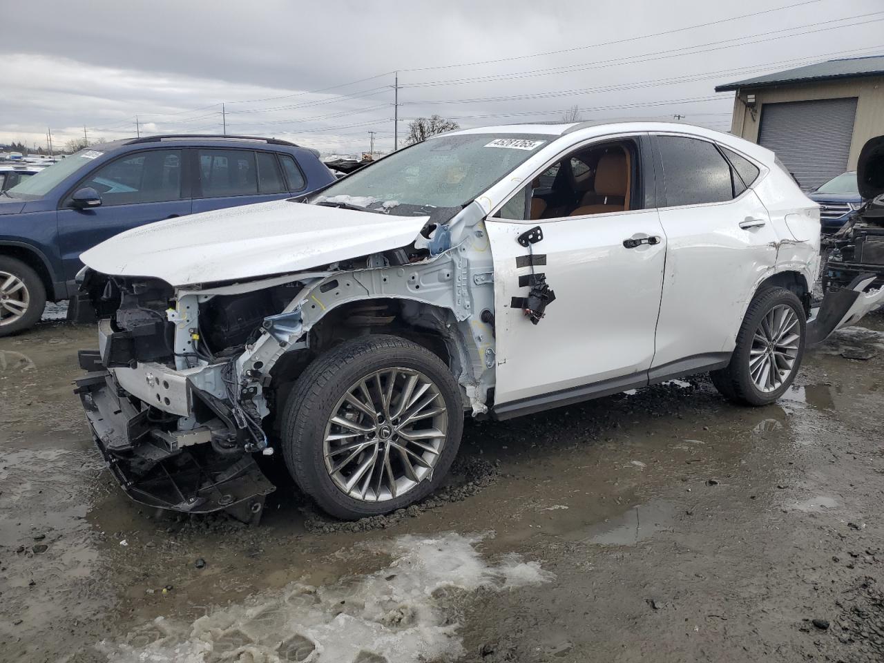 2023 Lexus NX - Image 1