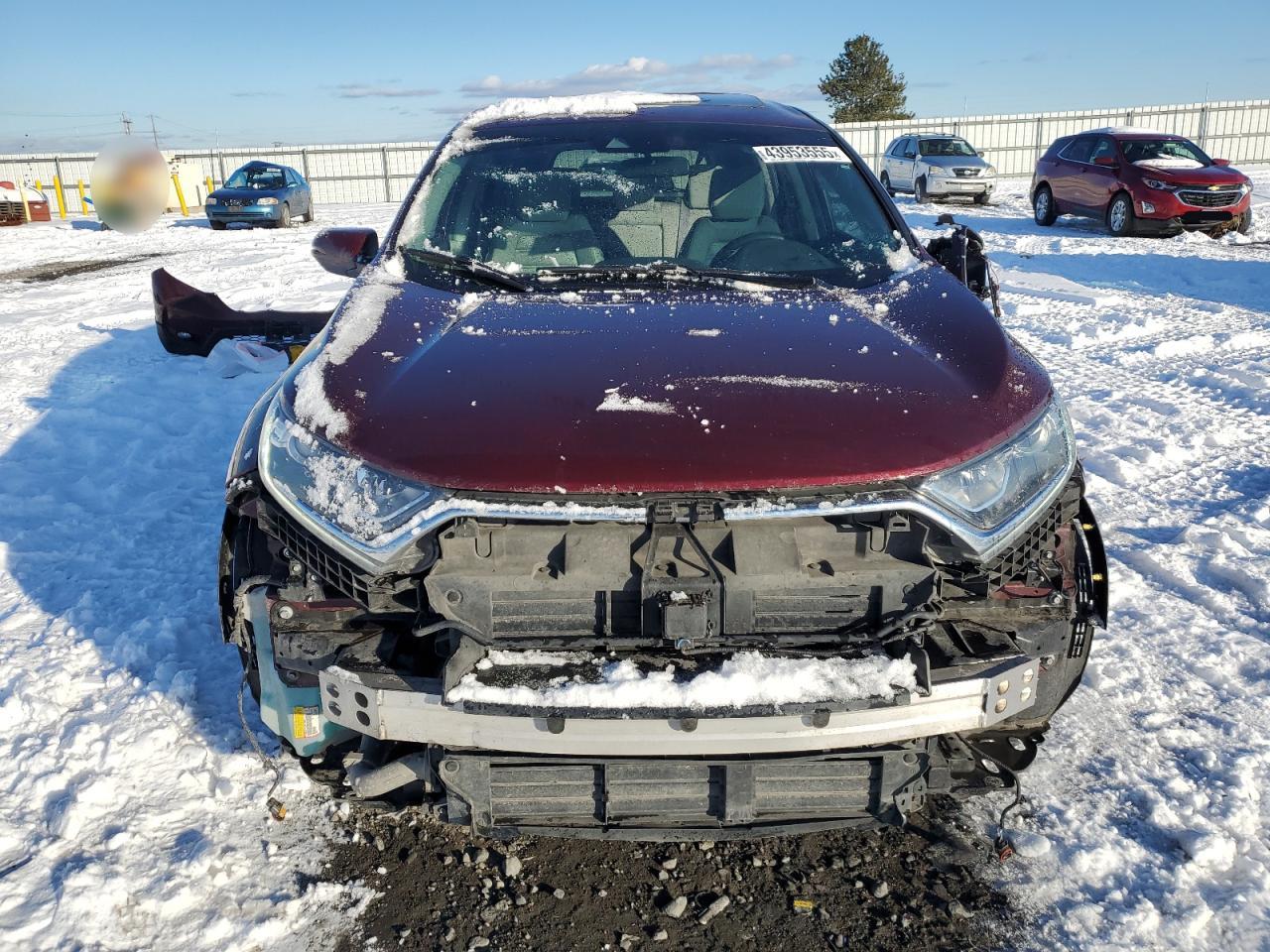 2019 Honda CR-V - Image 5