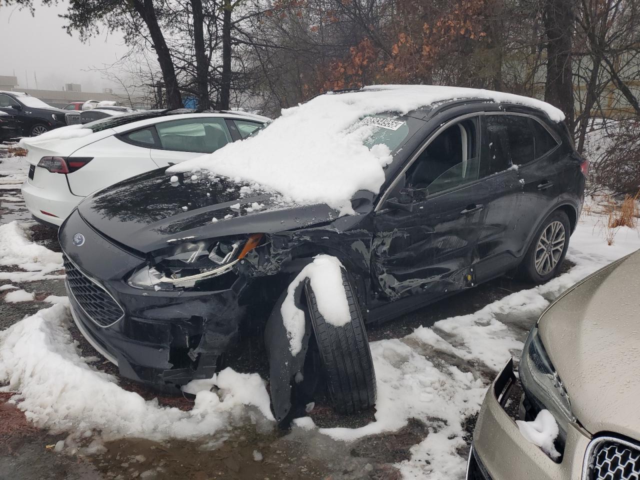 2021 Ford Escape - Image 1