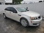 2013 Chevrolet Caprice Police en Venta en Opa Locka, FL - Minor Dent/Scratches