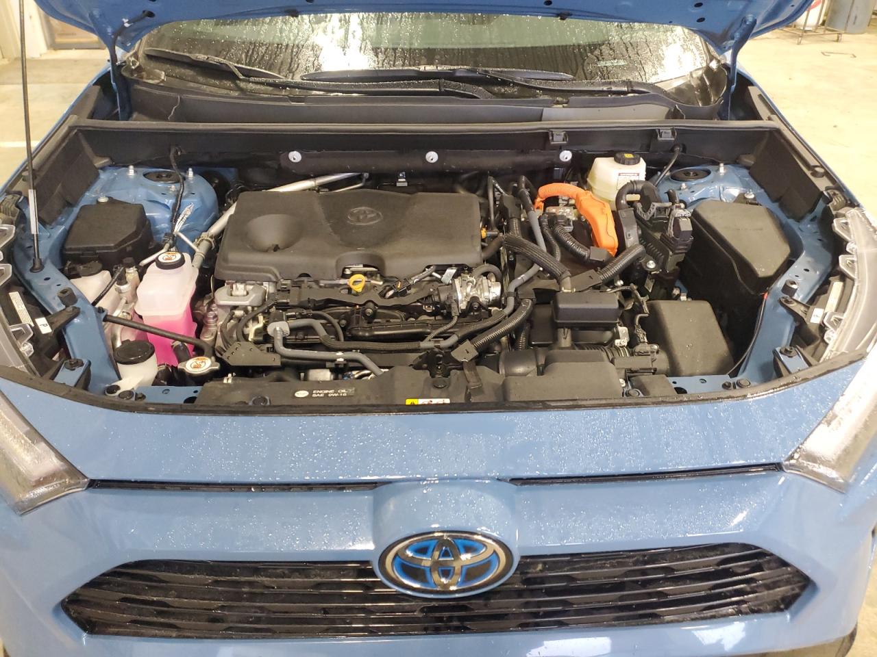 4T3T6RFV4RU156442 TOYOTA RAV4 2024