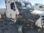 Tucson, AZ에서 판매 중인 2023 Freightliner Cascadia 126  - All Over