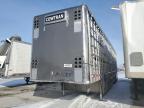 2024 Livestock en Venta en Dyer, IN - All Over