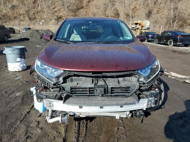  HONDA CRV 2019 Burgundy