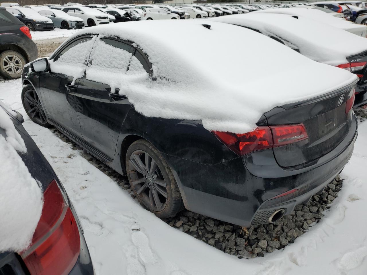 2019 Acura TLX - Image 2
