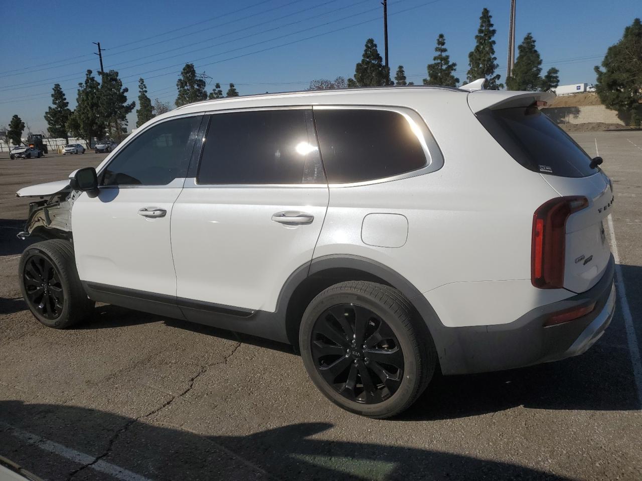 2020 Kia Telluride - Image 2