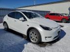 2023 TESLA MODEL Y  for sale at Copart ON - TORONTO