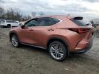 2025 Lexus Nx 350 Premium for Sale in Baltimore, MD - Front End