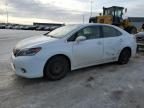 2010 LEXUS HS 250H for sale at Copart AB - EDMONTON