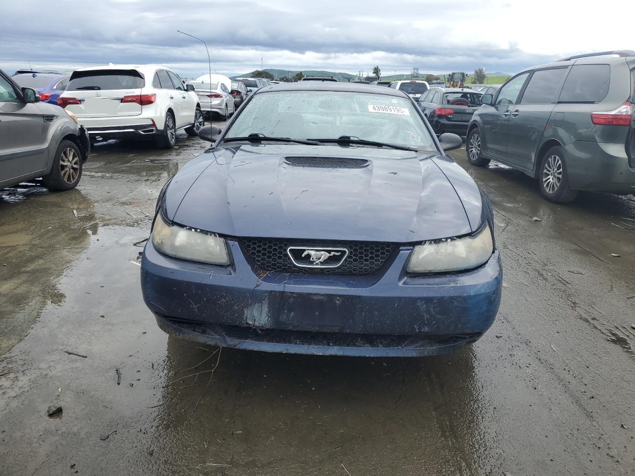 2001 Ford Mustang - Image 5