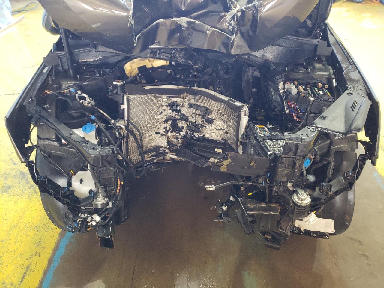 2024 Kia Telluride Sx VIN: 5XYP5DGC3RG498967 Lot: 45762725