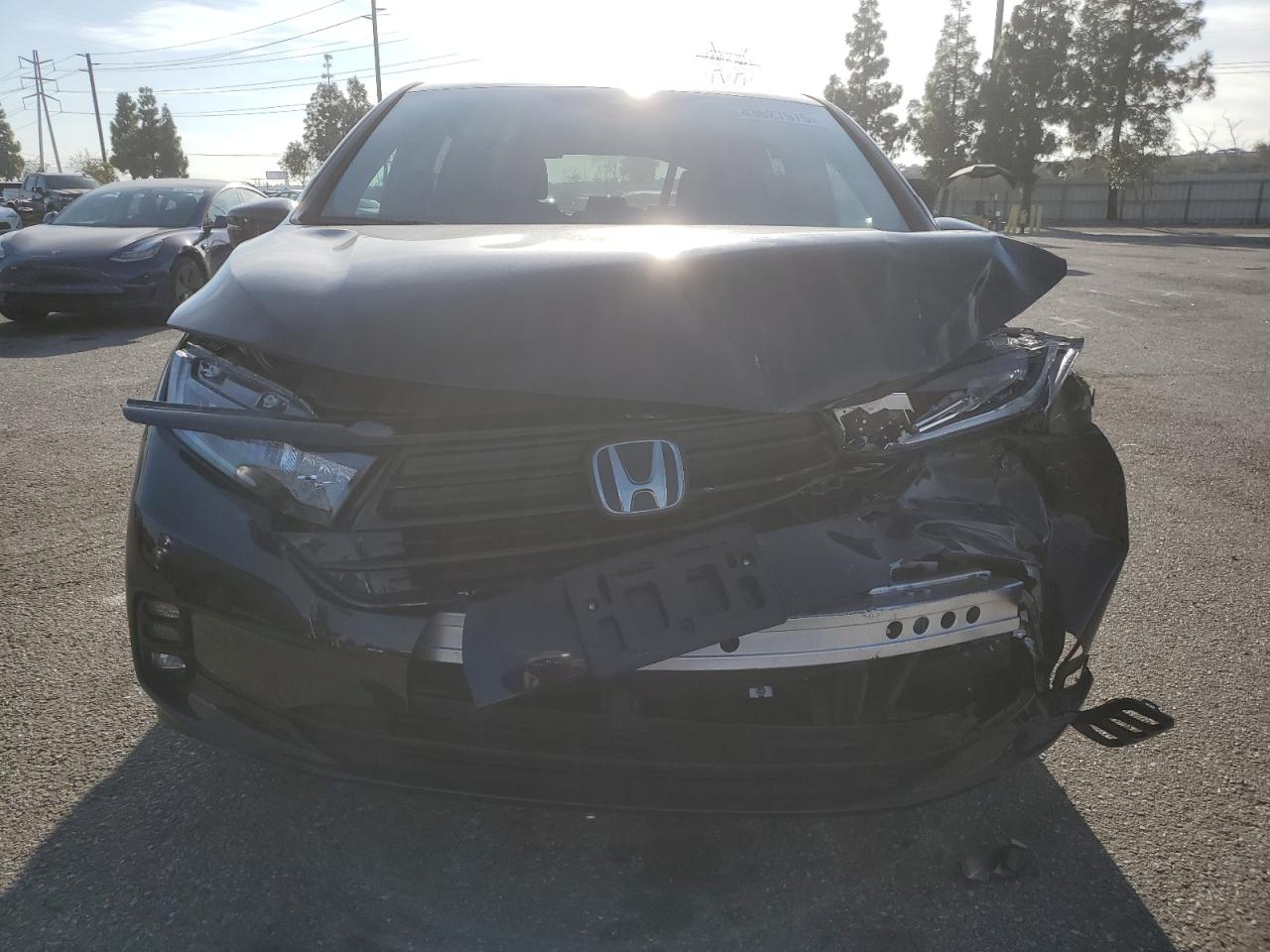 5FNRL6H77RB003415 HONDA ODYSSEY SP 2024