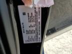 2020 Tesla Model 3  na sprzedaż w Opa Locka, FL - Minor Dent/Scratches