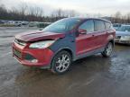 2013 Ford Escape Sel იყიდება Marlboro-ში, NY - Minor Dent/Scratches