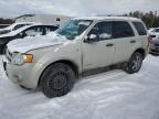 2008 FORD ESCAPE XLT for sale at Copart ON - COOKSTOWN