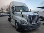 2017 Freightliner Cascadia 125  for Sale in Glassboro, NJ - Burn