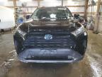 2019 Toyota Rav4 Le за продажба в Pekin, IL - Rear End