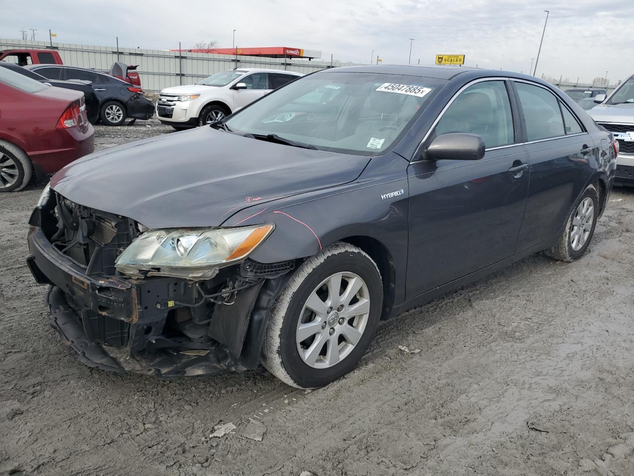 2009 Toyota Camry Hybrid zu verkaufen in Cahokia Heights, IL - Front End