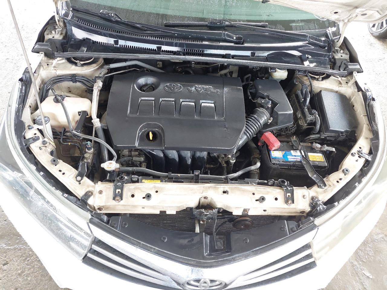 RKLBB9HE1E5027423 - 2014 Toyota Corolla L/le/le Plus/le Premium/s/s Plus/s Premium - #43484335