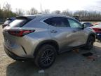 2024 Lexus Nx 350 Premium იყიდება Waldorf-ში, MD - Front End