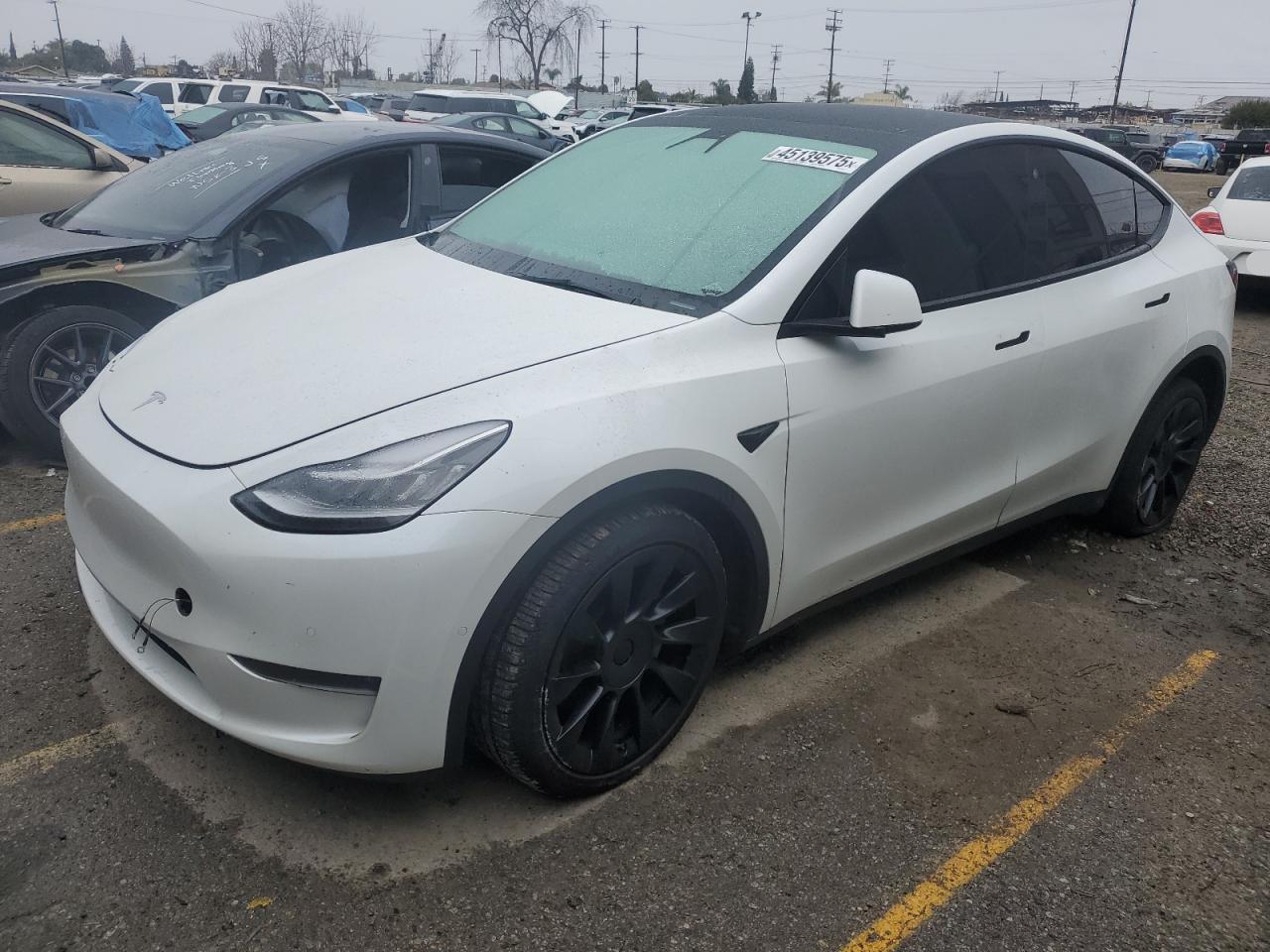 2021 Tesla Model Y на продаже в Los Angeles, CA - Side