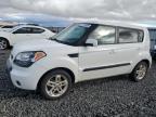 2011 Kia Soul + for Sale in Reno, NV - Rear End