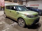 Sikeston, MO에서 판매 중인 2014 Kia Soul  - Rear End