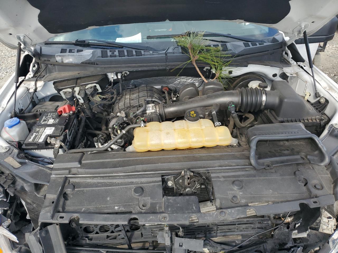 1FTEW1CB8JFC30701 FORD F-150 2018