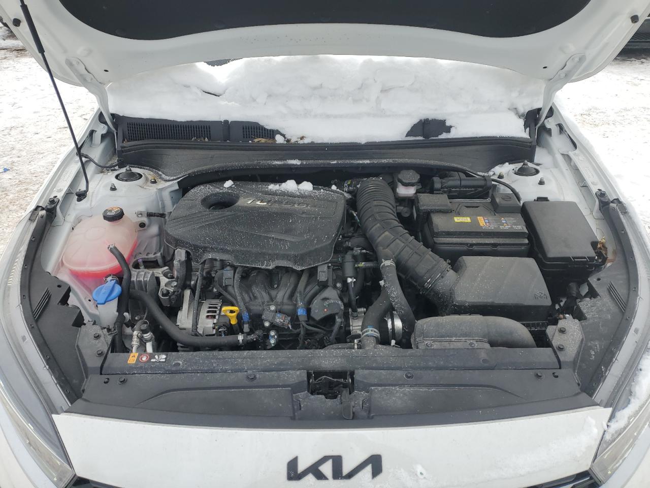 2024 Kia Forte - Image 11