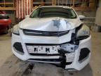 2013 Ford Escape Se იყიდება Sikeston-ში, MO - Front End