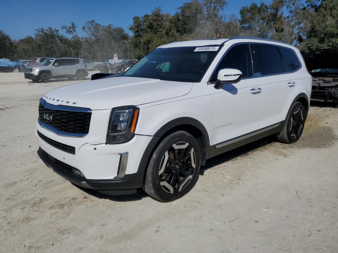 2022 Kia Telluride - Image 1