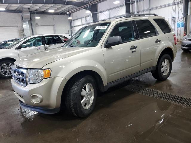  FORD ESCAPE 2012 Цвет загара